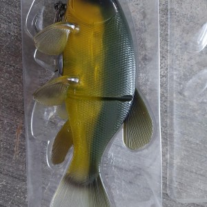 QUANTUM - Green tench