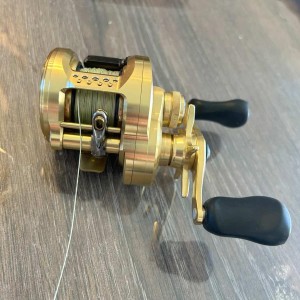 Shimano Calcutta Conquest 201