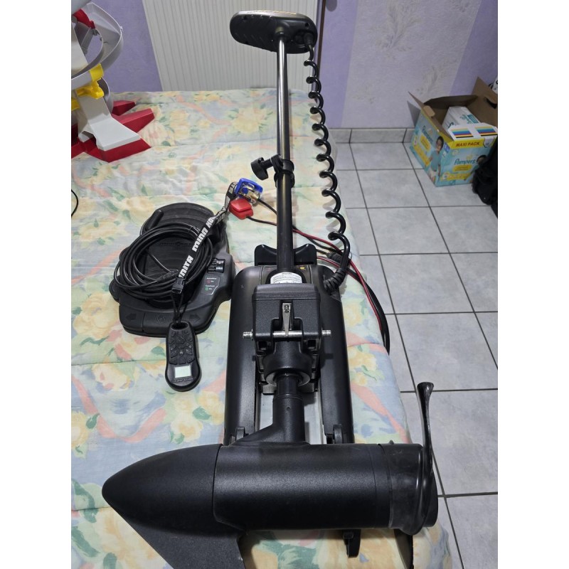 Minnkota
