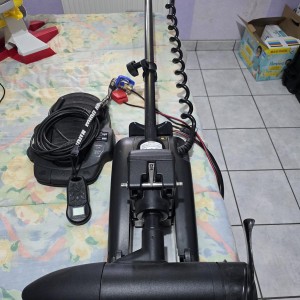 Minnkota