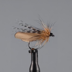 sedge