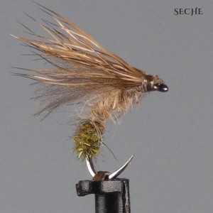 sedge