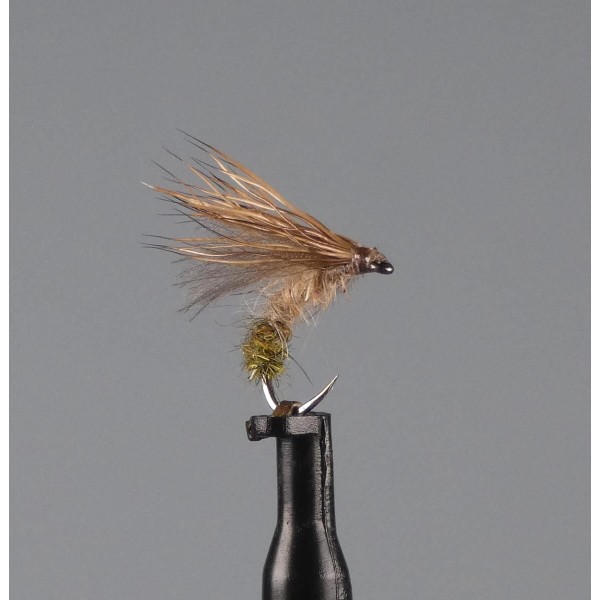 sedge