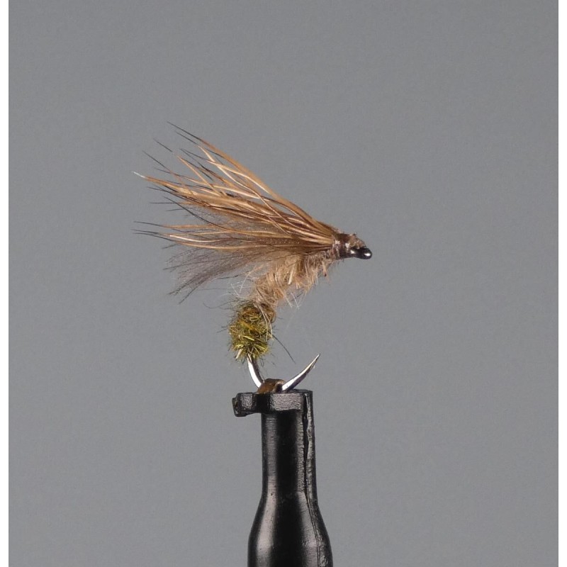 sedge