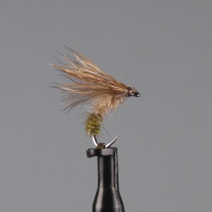 sedge