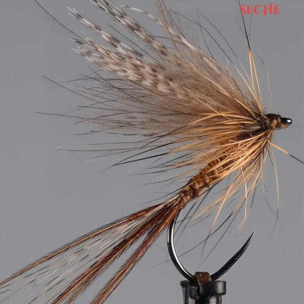 March Brown