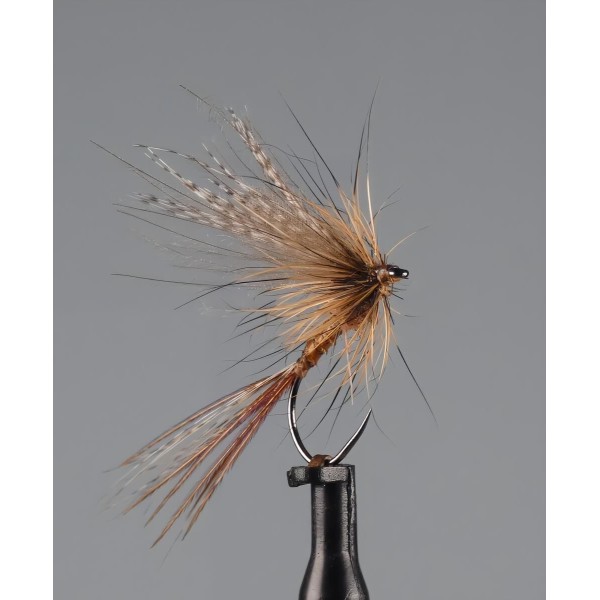 March Brown