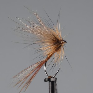 March Brown