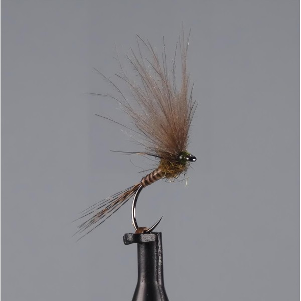 La Grande Olive