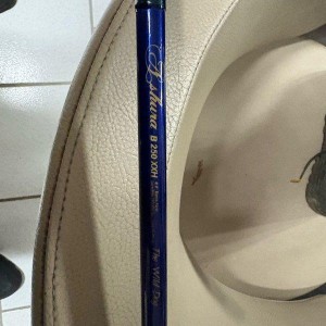 Canne casting bigbait ILLEX DÉLIVRANCE B250 XXH the wild dog NEUVE