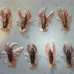 ÉCREVISSES 4cm