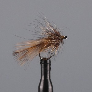 sedge becasse