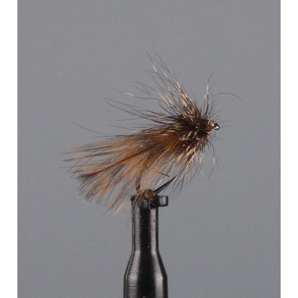 sedge becasse