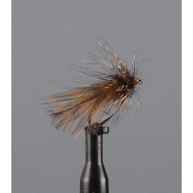 sedge becasse
