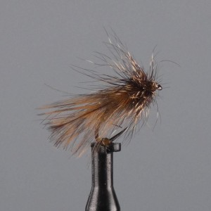 sedge becasse