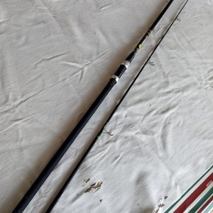 Canne à pêche Daiwa