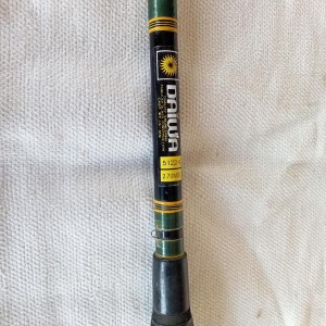 Canne à pêche Daiwa
