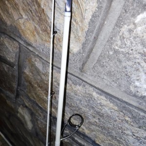 Canne a pêche Au leurre illex pepper silver Bullet