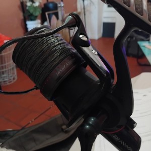 DAIWA - 2 moulinets Tournament Basia Custom DCR6