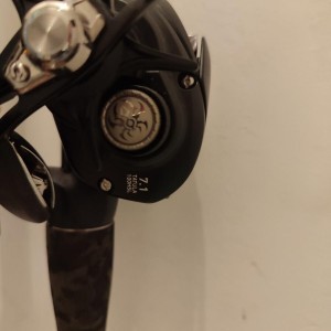 Canne casting Fox rage street fighter et moulinet Daiwa Tatula