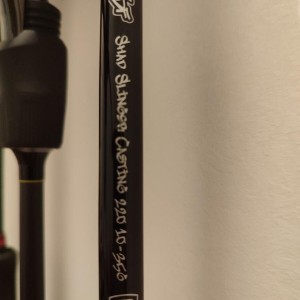 Canne casting Fox rage street fighter et moulinet Daiwa Tatula