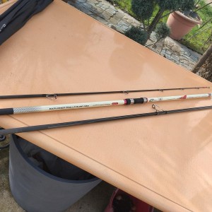 Canne surfcasting