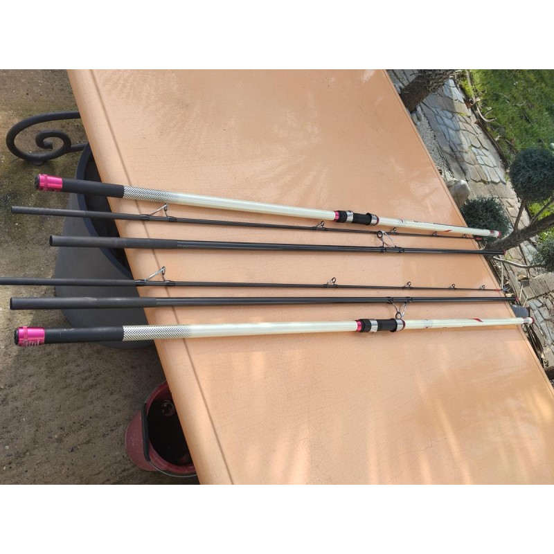Canne surfcasting