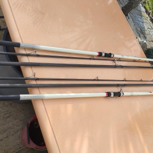 Canne surfcasting