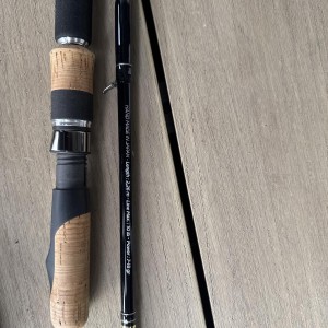 TENRYU - Canne Fast Finess ML - 7/18g