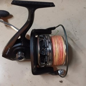 Moulinet silure