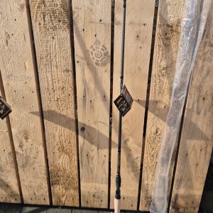 Canne neuve casting LEWS