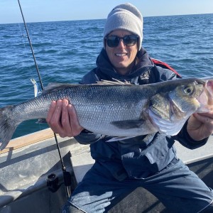BG SEABASS BG802XHFSOSCF 2,44m 1+1 187cm 203g 10 28-84g