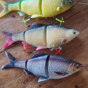 Line thru roach 25