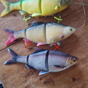 Line thru roach 25