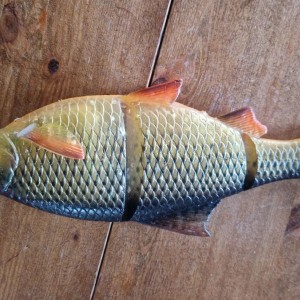 4D line thru roach 32cm