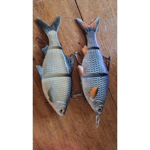 Line thru roach 25cm