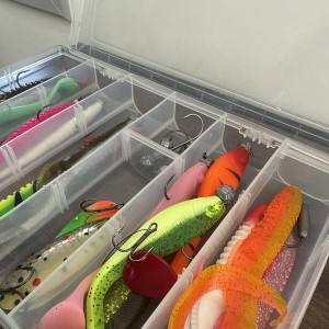 Boîte pêche au leurre Delphin