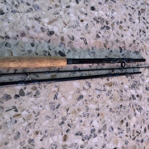 Canes à pêche Fisher