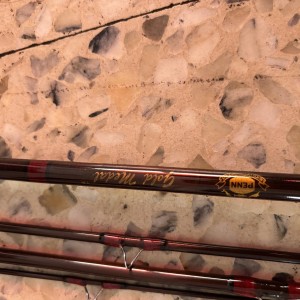 Canes à pêche Penn
