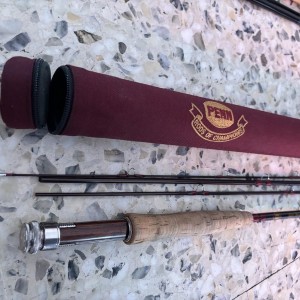 Canes à pêche Penn