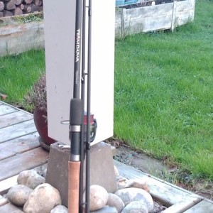 Canne Feeder Daiwa Spécimen