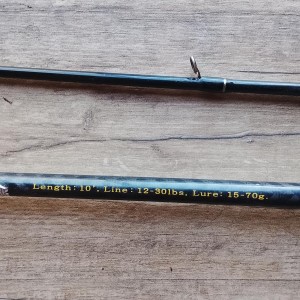 Canne dragonbait 15-70g