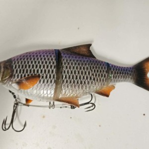 SAVAGE GEAR 4D Roach 25cm 216g SINKING