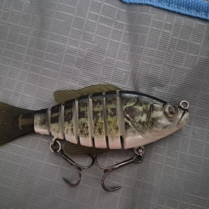 Biwaa seven 10 cm