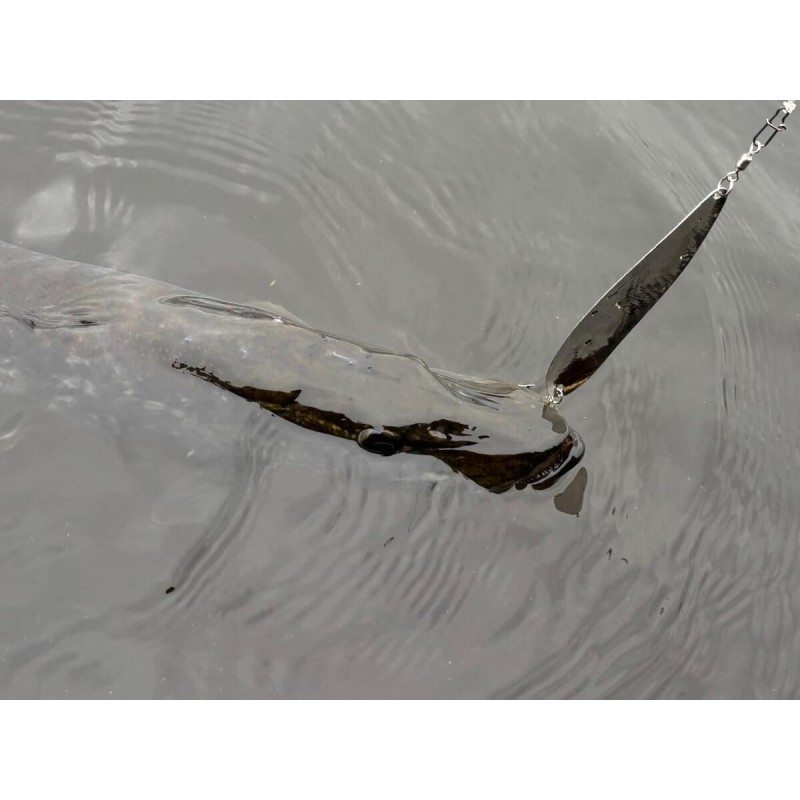 Ondulante XL Carnassier 27 grs hameçon triple 3/0 bucktail