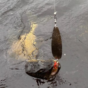Ondulante XL Carnassier 27 grs hameçon triple 3/0 bucktail