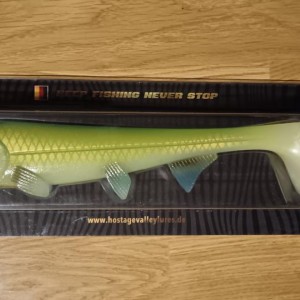 Leurre souple Hostagevalley shad 26