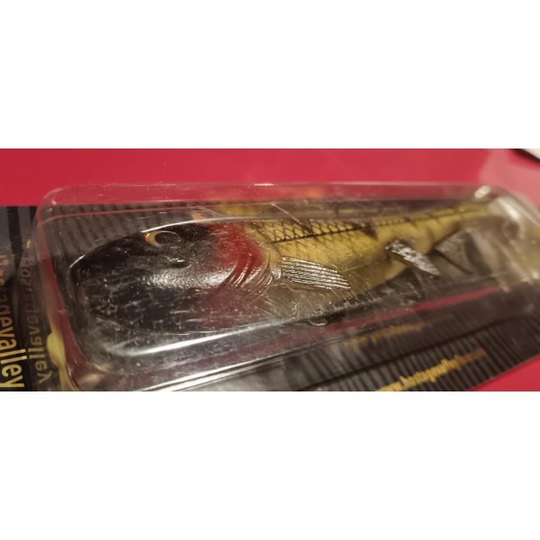 Leurre souple Hostagevalley shad 18