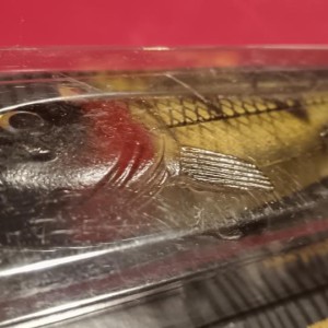 Leurre souple Hostagevalley shad 18