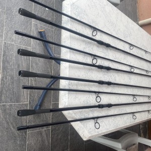 Canne à carpe